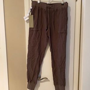 ARITZIA Community Ion Pant